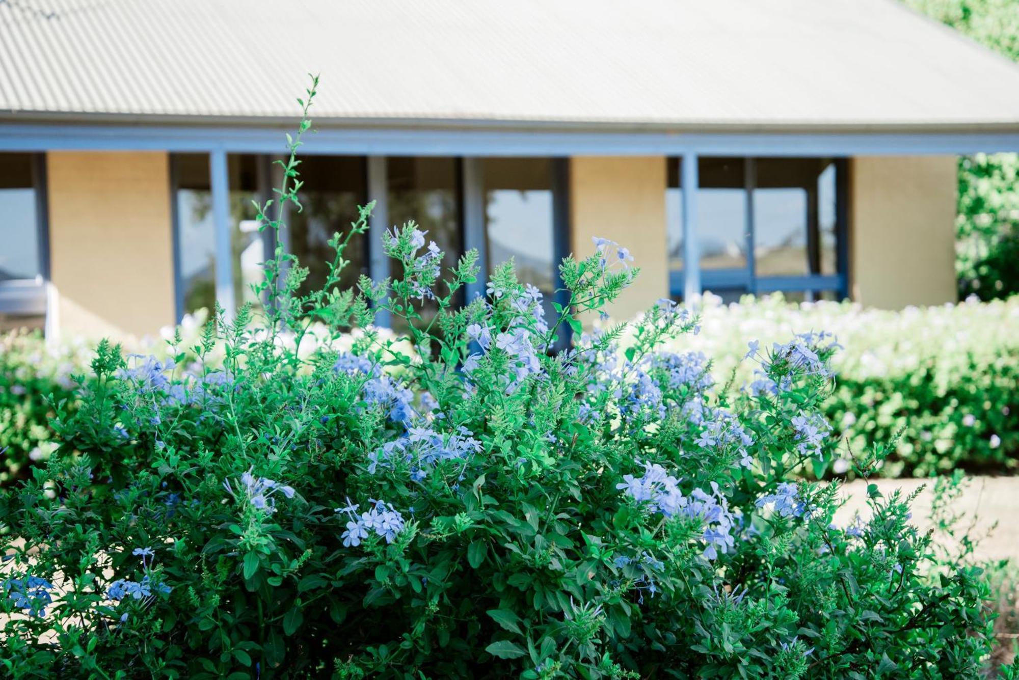 Hotel Tranquil Vale Vineyard Luskintyre Exterior foto
