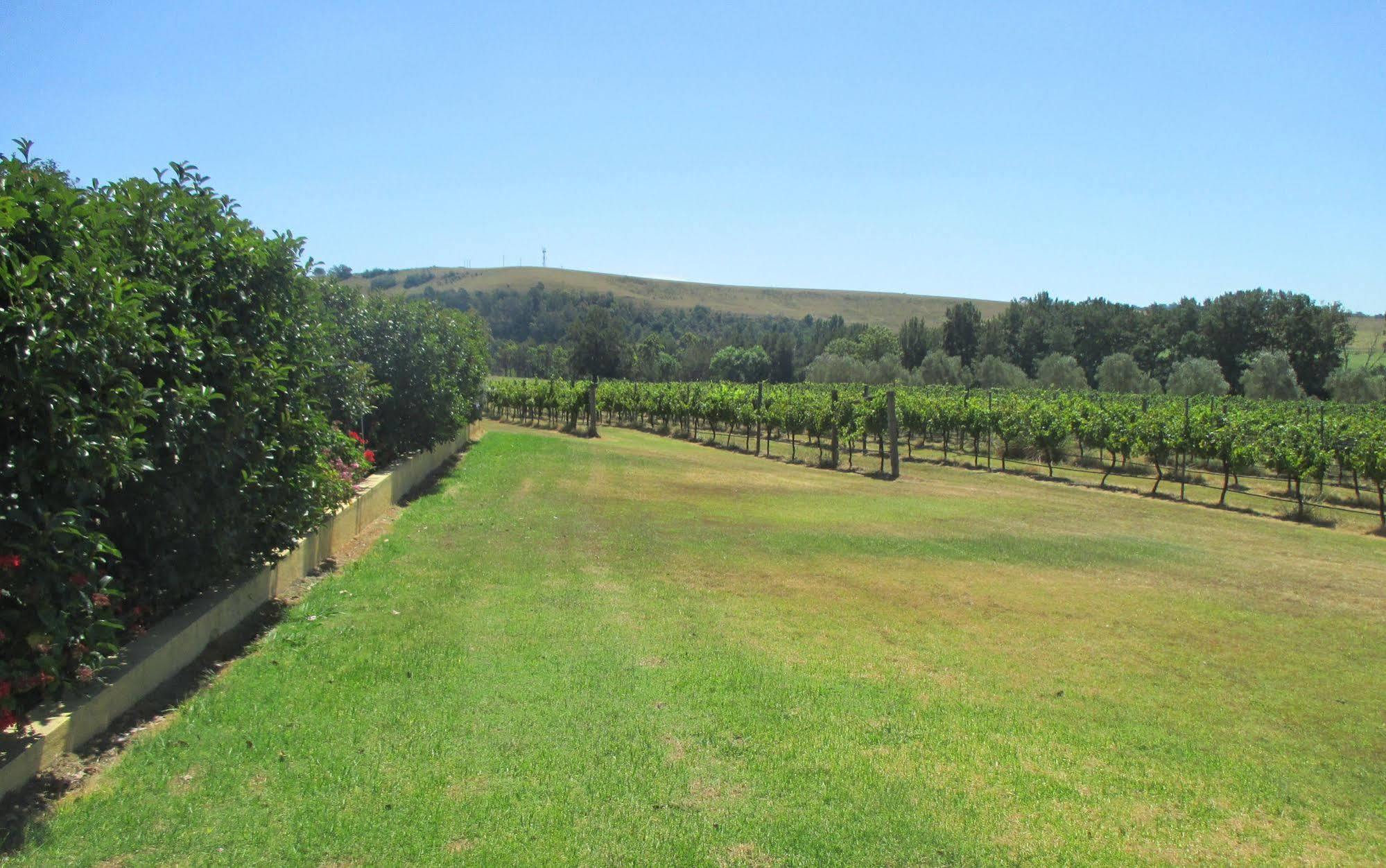 Hotel Tranquil Vale Vineyard Luskintyre Exterior foto